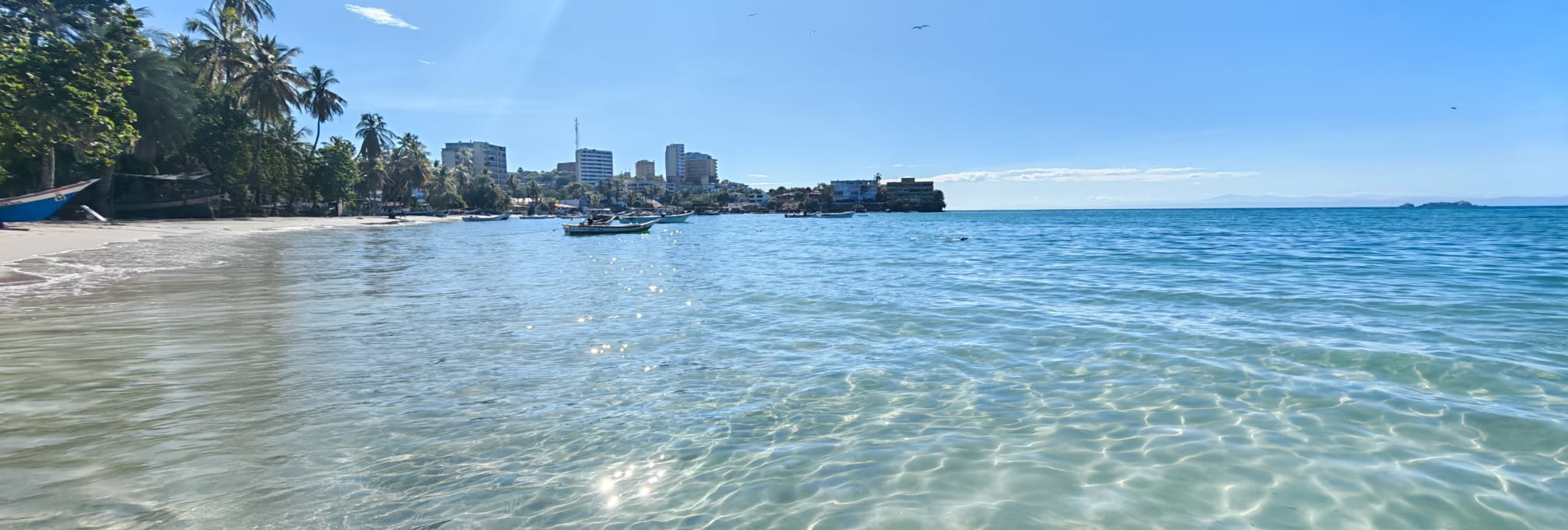 Fondo de carrusel 5