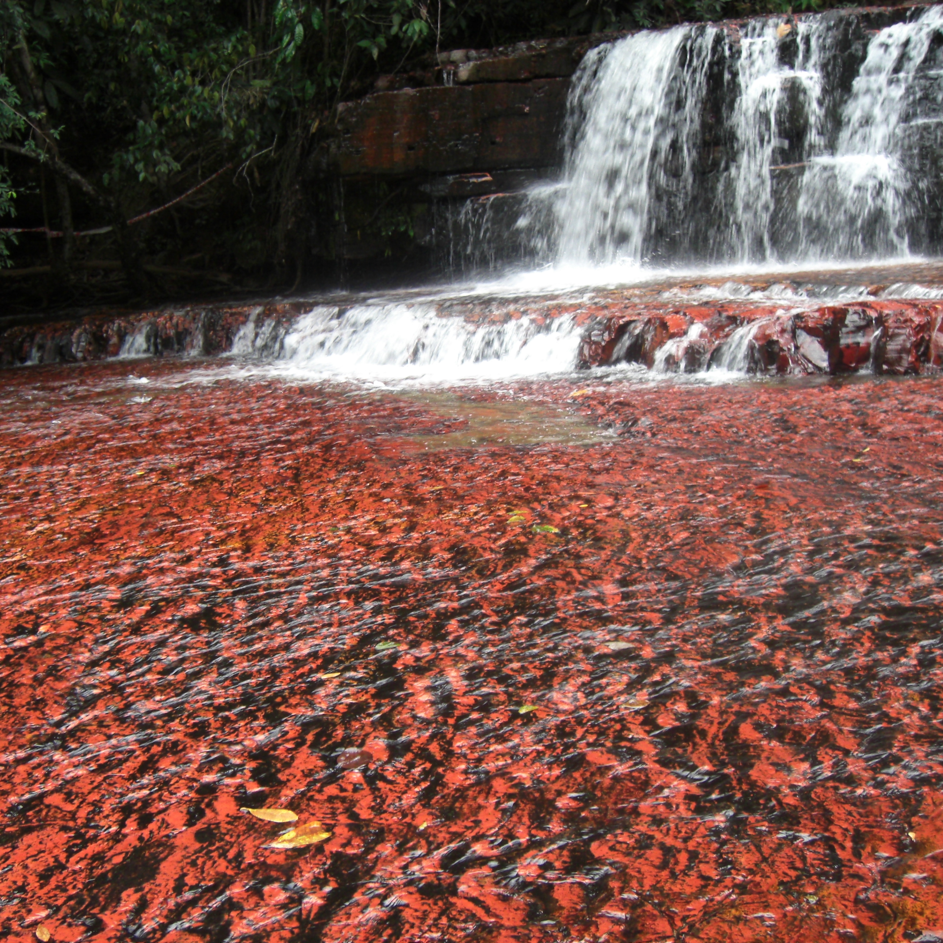 Gran Sabana